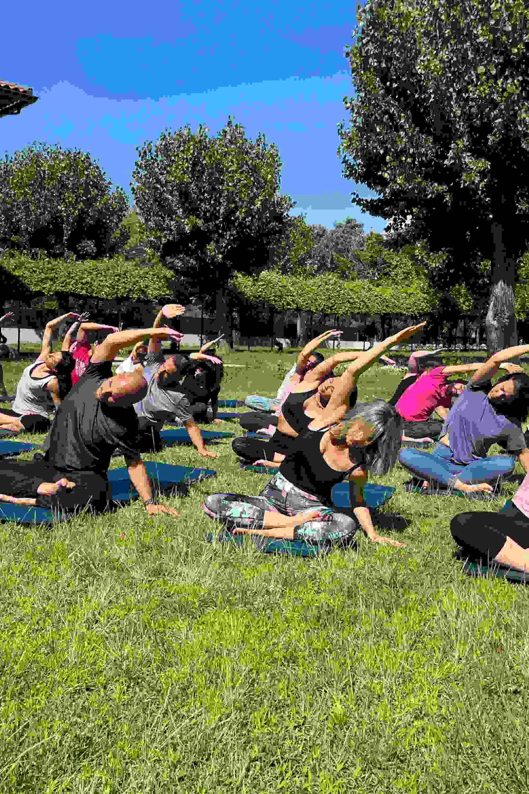 mundo consciente actividades yoga retiro espiritual